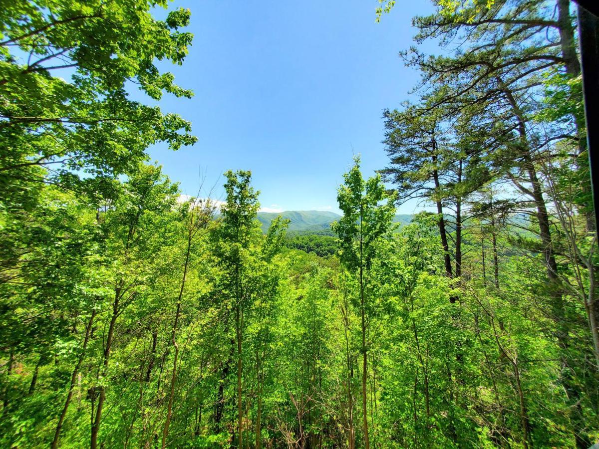 비둘기 포지 Mountain Ridge 빌라 외부 사진