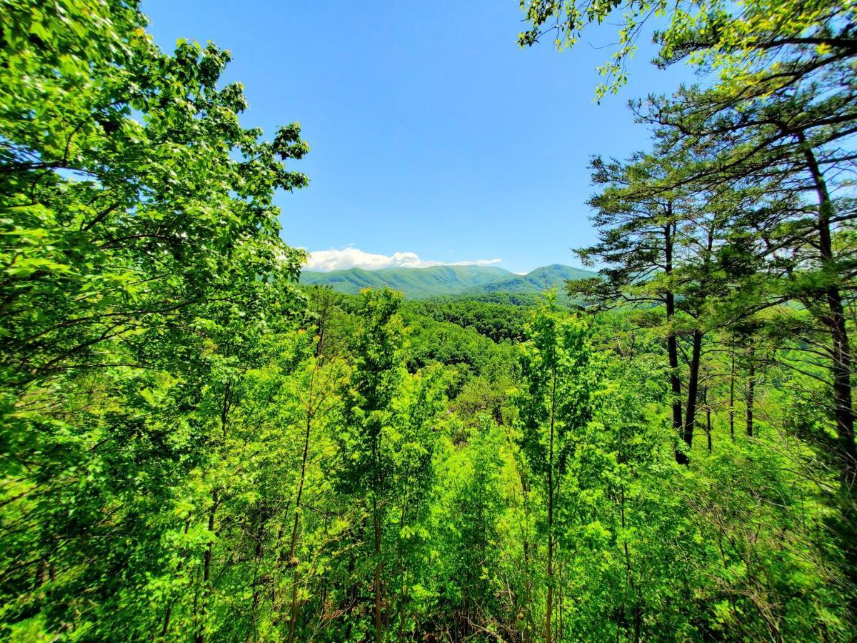 비둘기 포지 Mountain Ridge 빌라 외부 사진